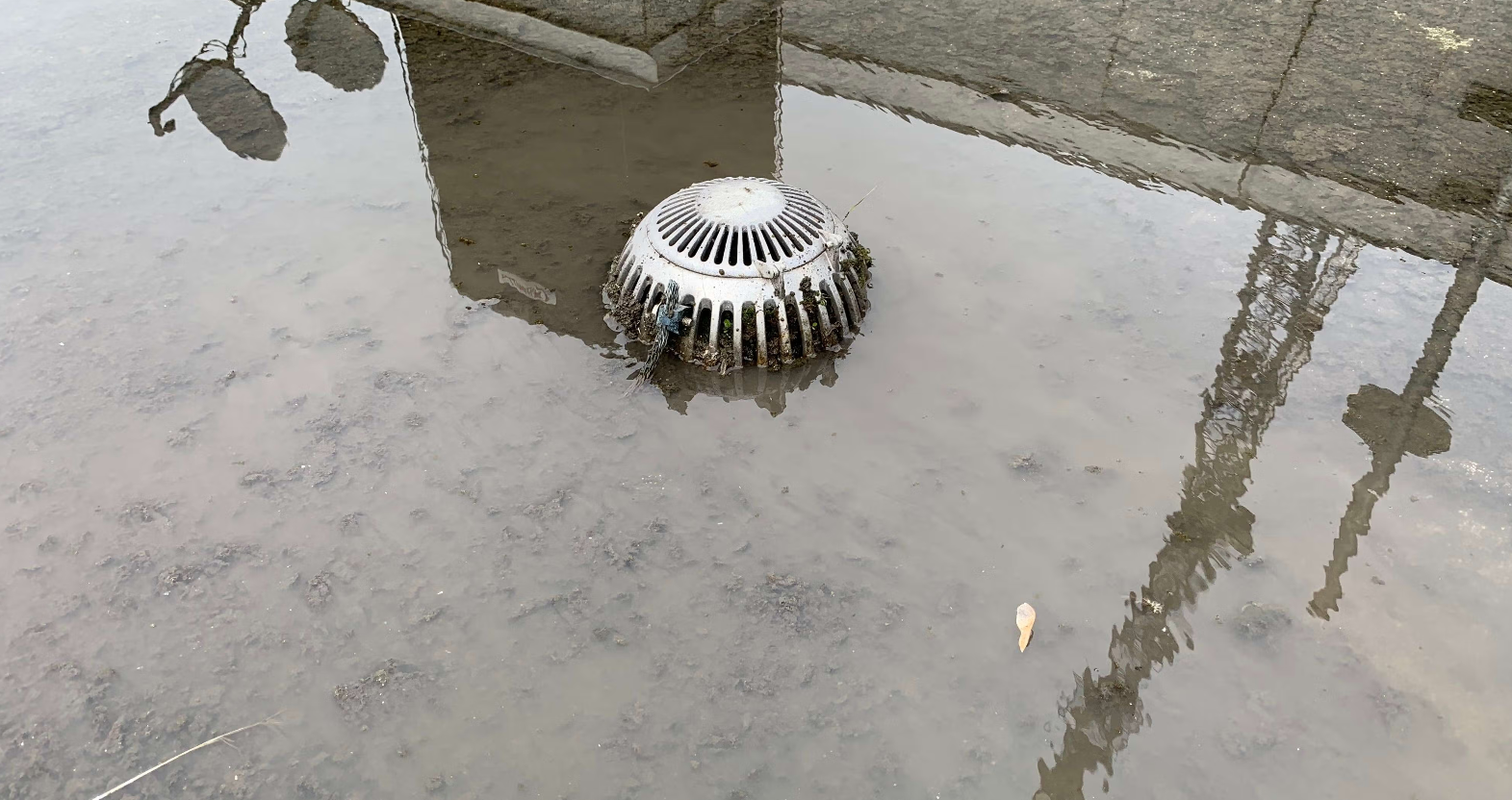 Drainage Systems (Scuppers, Roof Drains)